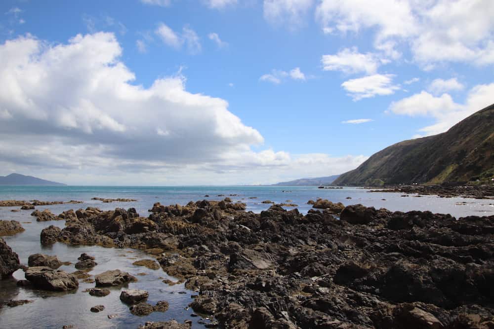 New Zealand's coastline