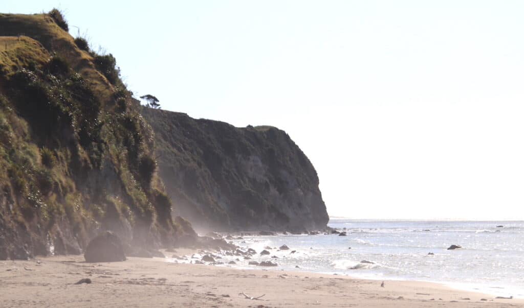 New Zealand coastline